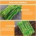 ifundom 50 Pcs Simulated asparagus ornaments food display show ornament kitchen food decor faux veggies Realistic vegetables artificial asparagus Educational Props pvc bouquet cupboard - Buy Online on GoSupps.com