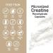 NatureWise Micronized Creatine Monohydrate Pills 2500mg Per Serving - Creatine for Women & Men - Pure Unflavored Supports Lean Muscle Mass Endurance - 60 Capsules 30-Day Supply  - Buy Online on GoSupps.com
