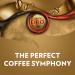 Buy Lavazza Qualita Oro Whole Bean Coffee - 6 x 1000g Pack - Premium Italian Coffee for International Shipping - Buy Online on GoSupps.com