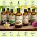 Pure Cold-Pressed Almond Oil 100ml - Natural Intense Care for Face Body Hair & Skin - Buy Online on GoSupps.com