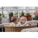BIBS Colour Symmetrical BPA-Free Dummy (Size 1 0-6 Months) - Natural Rubber/ Latex Made in Denmark - 2-Pack Vanilla/Pine - Buy Online on GoSupps.com