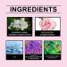 VEFSU Perfume Rose Petal Eau De Toilette Delicate Portable Fragrance 50ML (White One Size) 1 Fl Oz (Pack of 1) White - Buy Online on GoSupps.com