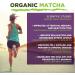 Organic Matcha Green Tea Powder 200g - Natural Energy Drink & Ergogenic Aid - Buy Online on GoSupps.com
