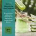 JERMEE 70% Alcohol Hand Sanitizer Gel - 1 Gallon | Kills 99.99% Germs | Vitamin E & Aloe Vera | Made in USA - Buy Online on GoSupps.com
