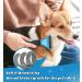 Dog Burst Cat Brush | 12+23 Stainless Steel Double-Sided Deshedding Tool for Dogs & Cats - Remove Unwanted Hair & Knots - Blue - Buy Online on GoSupps.com