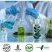 Chlorella Spirulina Tablets 2-in-1 Superfood Algae Supplement | Immune Support, Detox & Energy Boost | Broken Cell Wall, Rich in Chlorophyll | 90 Servings | 6.34 Fl Oz - Buy Online on GoSupps.com