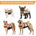 Buy Alagirls Adjustable Dog Life Jacket Vest - Pet Lifeguard for Swimming Sizes M (48-58cm) - Orange & Gray - Buy Online on GoSupps.com