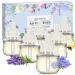 SCENTORINI Plugins Refills Air Fresheners for Home Compatible with Air Wick Warmers 5.92 Fl Oz 6 Count Vanilla Linen Lavender