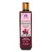 Blessfull Healing Organic Red-Onion Hair Cleanser | Shampoo 100 ML (Packing May Vary) 100 ml (Pack of 1)