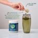 BIOHM Essential Digestive Greens | Best Green Superfood Powder with Antioxidants Probiotics & Enzymes Enhance Digestion & Wellness - Buy Online on GoSupps.com
