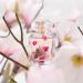 Escada Celebrate N.O.W. Eau de Parfum for Women Eau de Parfum 30 ml (Pack of 1) - Buy Online on GoSupps.com