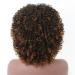 Shop 14-Inch Front Pointed Curly Real Hair Wig | Bandless Baby Hair 150% Density Heat-Resistant Synthetic for Women - International Shipping Available - Buy Online on GoSupps.com