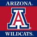 Westrick Arizona Wildcats Party Supplies - 48 Pieces (Serves 16) - Buy Online on GoSupps.com
