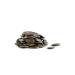 PlantLife Organic European Pumpkin Seeds Pepitas 2lbs - Gluten-Free, Unsalted, Non-GMO, USDA Organic & Vegan - 2 Pound Pack - Buy Online on GoSupps.com