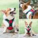 Phoepet 2019 No Pull Dog Harness - Reflective Adjustable Vest with Training Handle | XS Red | International Shipping - Buy Online on GoSupps.com