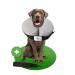 NEW: MC -Royal Premium Halskrause - inflatable premium breakthrow for dogs and cats reliable protection - dog collar - leakage protection dog - dog collar - sore crane cats - protective collar dog 1. size: s