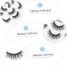 DRESSOOS 1 Box 6d False Eyelashes 3d Volume Lashes Fake Eyelashes Woman Makeup False Lash Wispy Lashes Dense Makeup Eyelashes Fake Lashes False Eyelash Makeup Accessory Chemical Fiber - Buy Online on GoSupps.com