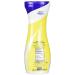 Domino White Sugar Pure Cane Superfine 12 oz Quick Dissolve - 1 Pack - Buy Online on GoSupps.com