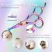 DRGSKL Small Dog Care Scissors - Professional Safe Round Point Detail Trim - Japanese Stainless Steel 440C - Perfect for Dogs & Cats - Rainbow Edition - Buy Online on GoSupps.com