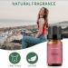 BURIBURI Berries Fragrance Oil 0.33fl.oz Aromatherapy Berries Essential Oil 10ml for Diffuser Soap Making Candle Making Berries 10 ml (Pack of 1) - Buy Online on GoSupps.com