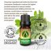 Ecodrop Pure Marjoram Essential Oil - 10ml | 100% Natural Therapeutic Grade Egyptian Origanum Majorana Oil for Relaxation, Mood & Calm - Buy Online on GoSupps.com