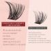 Shop Higu Clace Self Adhesive Eyelashes - 54pcs D Curl Pre-Glued Lash Clusters Kit | Easy Press On False Lashes with Tweezers - No Glue Needed (8-16mm Sparkle - Buy Online on GoSupps.com