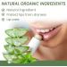 Trendyfave Moisturize Lip Balm Plumping Lip Gloss Aloe Natural Lip Balm Long-Lasting Lip Repair Nutritious - For Dry Lips Treatment for Cracked Chapped Lips Gifts For Girls and Women 1 - Buy Online on GoSupps.com