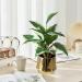 2 Bouquets Artificial Hostas 17.71in Tall Realistic Fake Dieffenbachia with 14 Leaves Low-Maintenance Indoor Aesthetic Artificial Greenery for Wedding Garden Home Office Decor Fake Plants - Buy Online on GoSupps.com