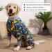 AXCIMOND Dog Recovery Suit for Dogs - Post-Op Body Protector for Bitches/Males - Blue Dinosaurs 2XL | Long-Sleeved Wound Protection Alternative to Neck Collars - Buy Online on GoSupps.com