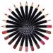 SHANY Vegan Dreamy Dozen Matte Lip Liner Set - 12 Long-Lasting Velvet Lipstick Pencils in Various Shades - Buy Online on GoSupps.com
