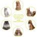 Pecute Pet Dematting Tool 2 Pack - Double Sided Undercoat Rake & Dematting Comb for Dogs & Cats - Green - Buy Online on GoSupps.com