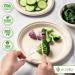 Ecovita Ivory White 100% Compostable Forks - 140 Large Disposable Utensils (7 in.) Eco Friendly, Durable, and Heat Resistant - Plastic Forks Alternative with Tray - Buy Online on GoSupps.com