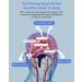 KTS 2.0 CES Sleep Aid Device | Relieve Insomnia Anxiety Depression & Headaches with Microstrom & Cranial Electrotherapy - Buy Online on GoSupps.com