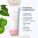 FOREO Blackhead Suck KIWI Bundle + LUNA Micro-Foam Cleanser 2.0 - Skin Care Tools for Face & Nose - Blackhead & Whitehead Remover - Pore Extractor Set - Buy Online on GoSupps.com