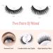 Reusable Self-Adhesive Eyelashes - Wispy Natural Look (2 Pairs) - Buy Online on GoSupps.com