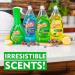 Powerblast Dish Spray Bundle - Original Scent 1 Spray + 3 Refills (16oz each) - Buy Online on GoSupps.com