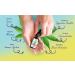 Organic Hemp Seed Oil - Peppermint Flavor 30 000 mg High Potency | Natural Pain Relief Sleep Aid & Relaxation | Non-GMO Vegan | 4 Oz - 4-Pack - Buy Online on GoSupps.com