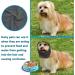 Pattepoint Dog Snood: Noise Protection & Anxiety Relief Dog Ear Muffs - Grey, Size M - Buy Online on GoSupps.com