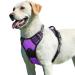 Eagloo dog harness Large dogs anti -train dog harness with reflex strips and control adjustable and adjustable dish Dog large chest harness for labrador purple l l (1 Pack) purple