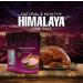 100% Pure Himalayan Pink Salt Extra Fine 900g - Buy Online on GoSupps.com