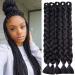 SEGO 41" Braid Extensions Synthetic Crochet Braiding 165g/Bundle Braiding Hair Black
