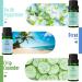 MitFlor Summer Fragrance Oil Gift Set - Ocean, Midsummer Night, Pineapple Scents - 6x10ml for Diffuser, Soap & Candle Making - Buy Online on GoSupps.com
