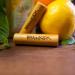 Bamboo Inhaler Pencil Set - D.I.Y Aromatherapy | Sustainable Essential Oil Nose Inhalers | Portable Mini Inhalator - Buy Online on GoSupps.com