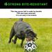 KALINCO Large Dog Soccer Ball with Grab Tabs 7.5inch Interactive Dog Toys Dog Water Toy Tug of War Dog Toy Herding Ball for Medium & Large Dogs - Buy Online on GoSupps.com