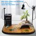 ICepark Turtle Heat Lamp - 25W & 50W UV UVA UVB Reptile Terrarium Lighting for Lizards & Aquatic Animals | E27 Heating Lamp Accessories - Buy Online on GoSupps.com