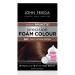 John Frieda Precision Foam Color  Light Natural Brown 6N  Full-coverage Hair Color Kit  with Thick Foam for Deep Color Saturation LIGHT NATURAL BROWN 6N Single