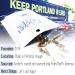 Cricket Bites: Assorted Edible Insects 3-Pack | Portland-made Snacks - Buy Online on GoSupps.com