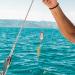 Genikeer Fishing Indicators - 2 PCs Trolling Salmon Bait Boards | 4.5 Inches Metal Flash 23g Light-Up for Fresh & Sea Water Fishing - Buy Online on GoSupps.com