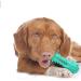 Toothbrush Dog Chew Toy Stick Bone for Dog Teeth Cleaning Tooth Brushing Teething Chew Toys Dental Oral Care for Small Medium and Large Dogs(Blue) - Buy Online on GoSupps.com