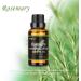 Rosemary Essential Oil - 100% Natural Aromatherapy Oil for Diffuser Humidifier Massage & Skin Care - 1.01 fl oz - Buy Online on GoSupps.com